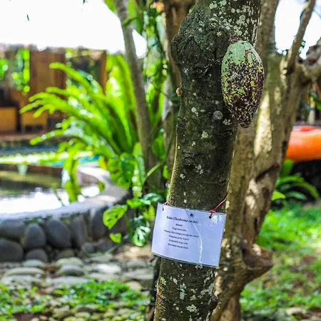 Omunity Bali