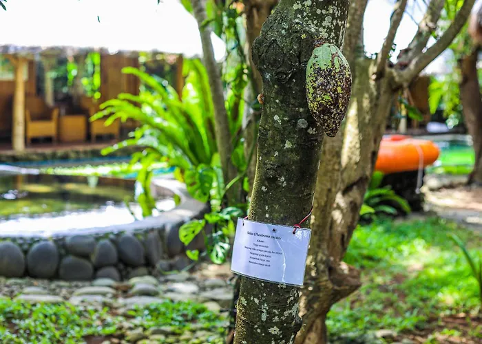 Gasthuis Omunity Bali Singaraja