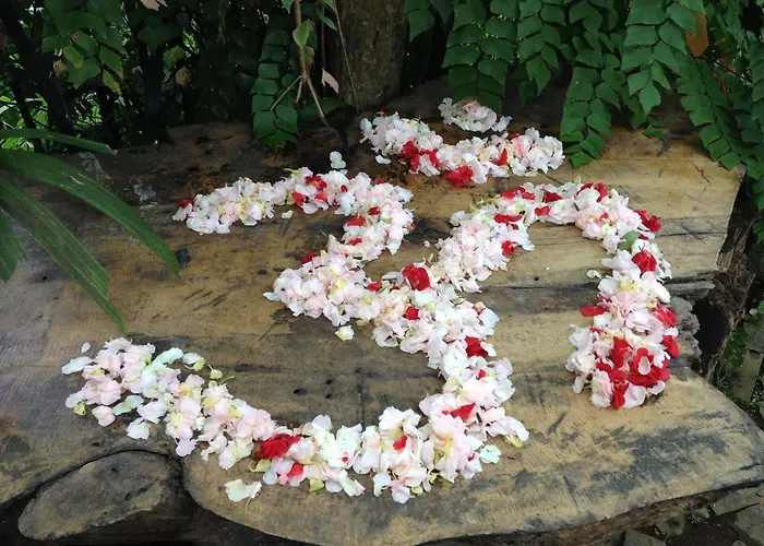 Omunity Bali Gasthuis Singaraja