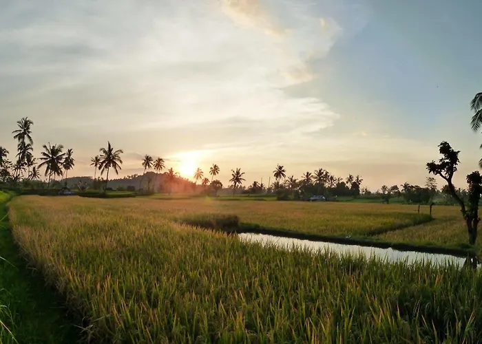 Gasthuis Omunity Bali