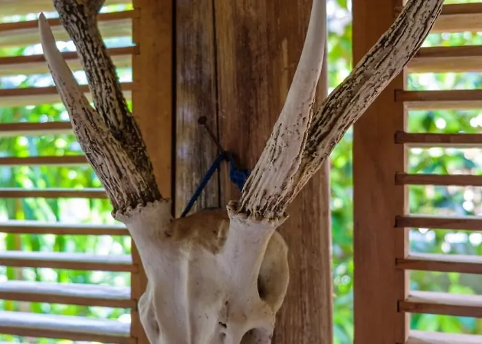 Omunity Bali Gasthuis Singaraja