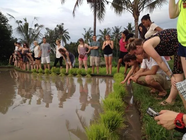 Omunity Bali Gasthuis 2*